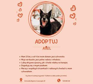 Adoptuj psa