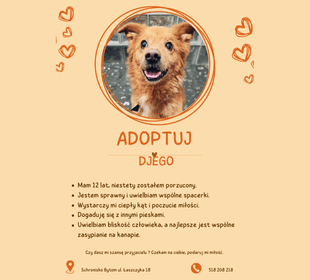 Adoptuj psa