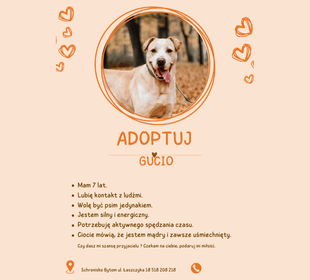 Adoptuj psa