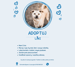Adoptuj psa