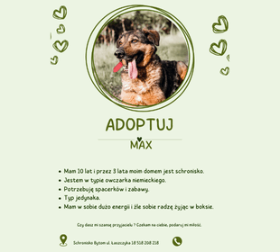 Adoptuj psa